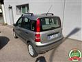 FIAT PANDA 1.2 Dynamic OK NEO PATENTATI