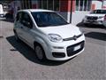 FIAT PANDA 1.0 firefly hybrid 70cv 5 posti