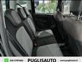 FIAT PANDA 1.2 City Cross