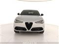 ALFA ROMEO STELVIO 2.2 Turbodiesel 210 CV AT8 Q4 Competizione