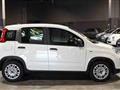 FIAT PANDA Hybrid 1.0 70cv