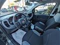 FIAT PANDA CROSS 1.0cc HYBRID GSE CITYLIFE 70cv