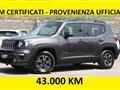 JEEP RENEGADE 1.6 Mjt 120 CV Business