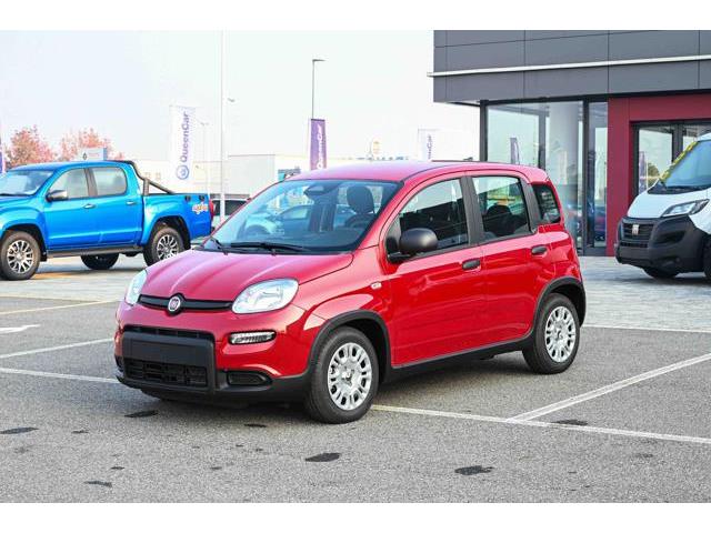 FIAT PANDA 1.0 FireFly S&S Hybrid Pandina