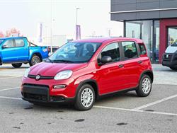 FIAT PANDA 1.0 FireFly S&S Hybrid Pandina