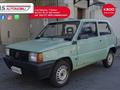 FIAT PANDA 900 i.e. cat Young