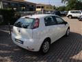 FIAT PUNTO 1.3 MJT II 75Cv 5p OK NEOPATENTATI