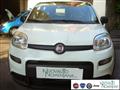 FIAT PANDA 1.0 FireFly S&S Hybrid Md.24 Km0 VETTURA NUOVA