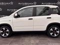 FIAT PANDA CROSS Panda Cross 1.0 FireFly S&S Hybrid