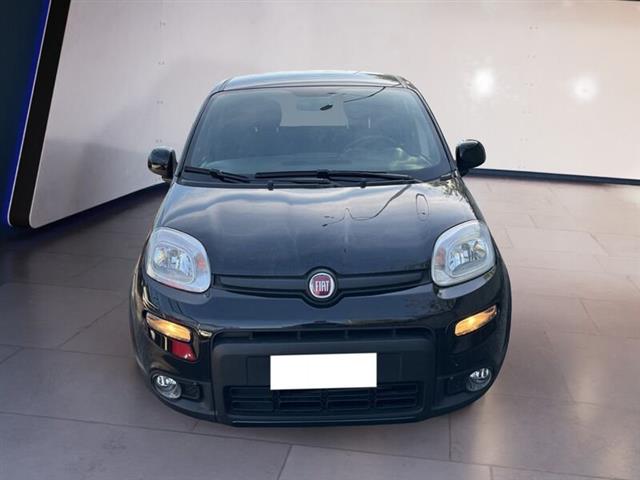 FIAT PANDA III 2021 1.0 firefly hybrid Sport s&s 70cv