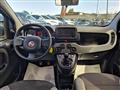 FIAT PANDA 1.0cc HYBRID CITY LIFE 70cv CLIMA STEREO