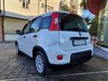 FIAT PANDA 1.0 70CV FireFly S&S Hybrid #VARI COLORI