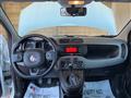 FIAT PANDA 1.2 Lounge 69cv