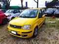 FIAT PANDA 1.2cc OK NEOPATENTATI 60cv CERCHI IN LEGA STEREO