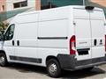 FIAT DUCATO 33 2.3 MJT 130CV PM-TM Furgone