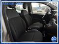 FIAT PANDA 1.0 70 Cv Hybrid Easy