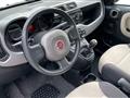 FIAT PANDA 1.2 easypower Easy Gpl 69cv 1.2 EASYPOWER