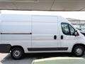 FIAT DUCATO 33 2.3 MJT 130CV PM-TM Furgone