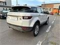 LAND ROVER RANGE ROVER EVOQUE Pure Business Edition TD4