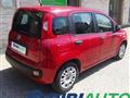 FIAT PANDA 1.2 EasyPower Easy NEOPAT.