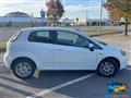 FIAT PUNTO 1.2 8V 3 porte Easy