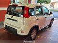 FIAT PANDA 1.0 FireFly S&S Hybrid Pandina