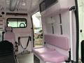 FIAT DUCATO AMBULANZA (2983) Ducato 35 3.0 Natural Power PLM-TA Furgone Maxi