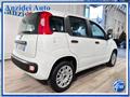 FIAT PANDA VAN N1 1.2 Easy Van 4 posti Autocarro