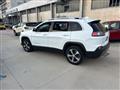 JEEP CHEROKEE 2.2 mjt Limited 4wd active drive I auto