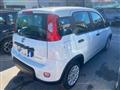 FIAT PANDA 1.0 FireFly S&S Hybrid/GPL