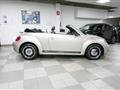 VOLKSWAGEN MAGGIOLINO Cabrio 1.4 TSI Sport