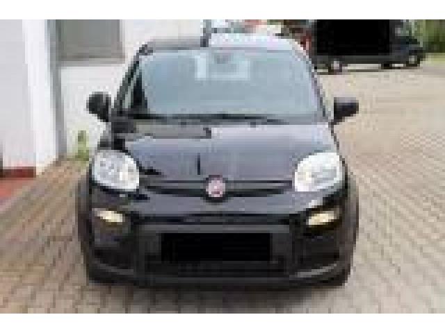 FIAT PANDA FIAT PANDA