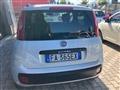 FIAT PANDA 1.3 MJT 75 CV S&S Lounge