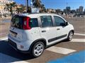 FIAT Panda 1.0 firefly hybrid s&s 70cv 5p.ti