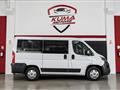 FIAT DUCATO FIAT DUCATO 2.3 MJT 150cv 9 posti Km 31.000