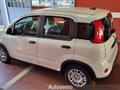 FIAT PANDA 1.0 FireFly S&S Hybrid Pandina