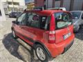 FIAT PANDA 1.2 Climbing 4x4 OK NEO PATENTATO