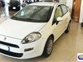 FIAT Punto Evo 1.3 Mjt 95CV DPF 5p. S&S Dyn.