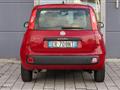 FIAT PANDA 1.2 Pop