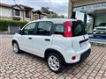 FIAT PANDA 1.0 FireFly S&S Hybrid - KM0