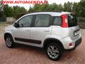 FIAT PANDA 1.3 MJT S&S Climbing 4x4