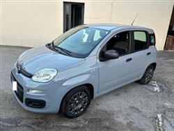 FIAT Panda 1.0 FireFly S&S Hybrid Easy