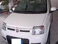 FIAT PANDA 1.2 4x4 Climbing