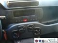 FIAT PANDA 1.0 FireFly S&S Hybrid Pandina Urban Km 0