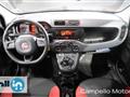 FIAT PANDA 1.2 69cv S&S Pop E6D-temp