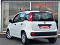 FIAT PANDA 1.2 EasyPower Easy - GPL CASA MADRE - GARANZIA