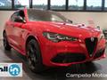 ALFA ROMEO STELVIO 2.2 Turbo Diesel 210cv AT8 Q4 Tributo Ital