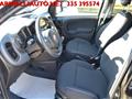 FIAT PANDA CROSS MY23 1.0 FireFly S&S Hybrid 70 CV KM ZERO