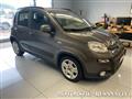 FIAT PANDA 1.0 FireFly S&S Hybrid GPL