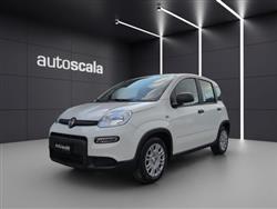 FIAT PANDA 1.0 FireFly S&S Hybrid Pandina